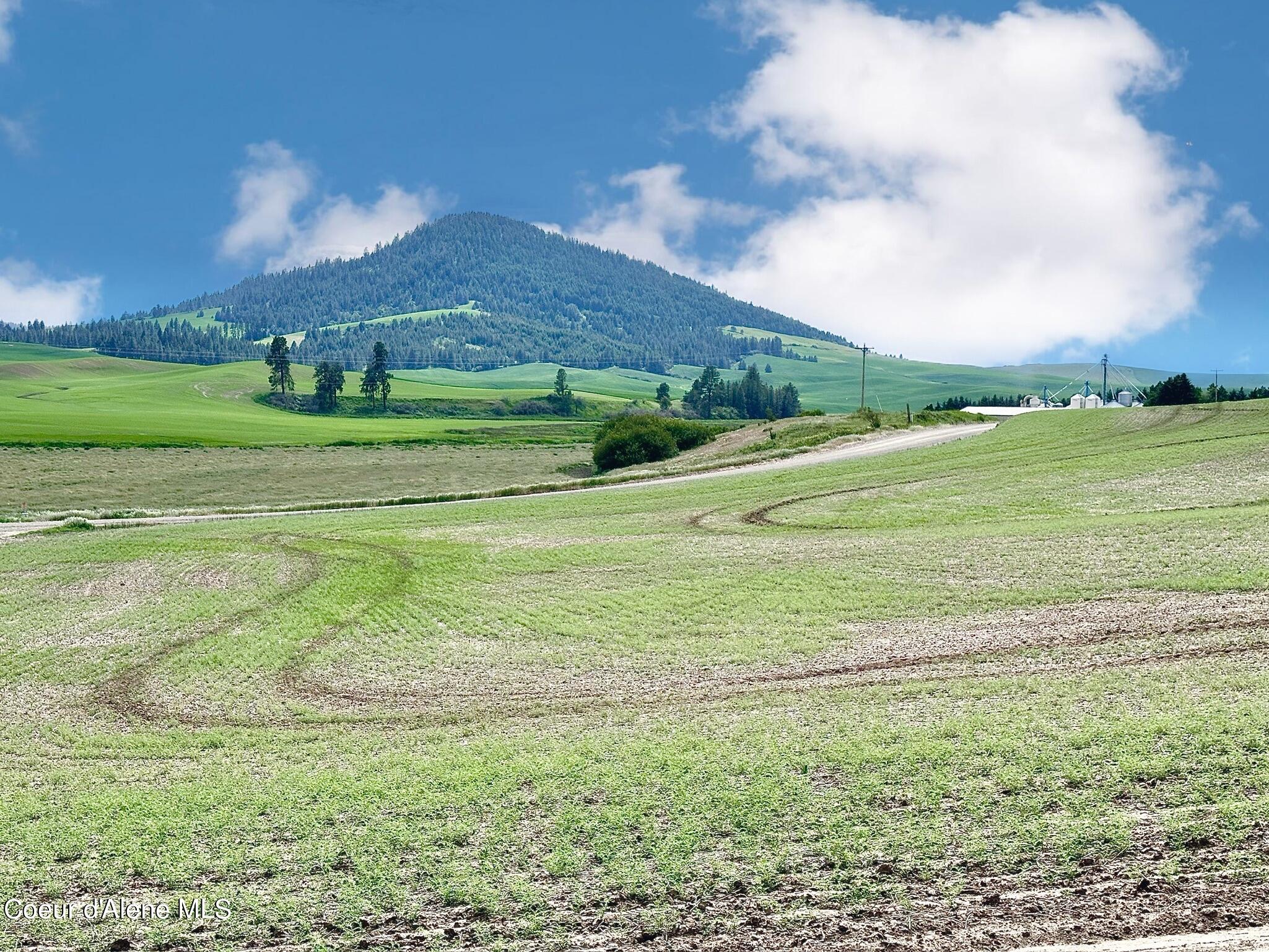 2915 Hangman Creek Road Tensed, ID 83870 - Photo 12 of 23 10 Acres w/ Panoramic Views