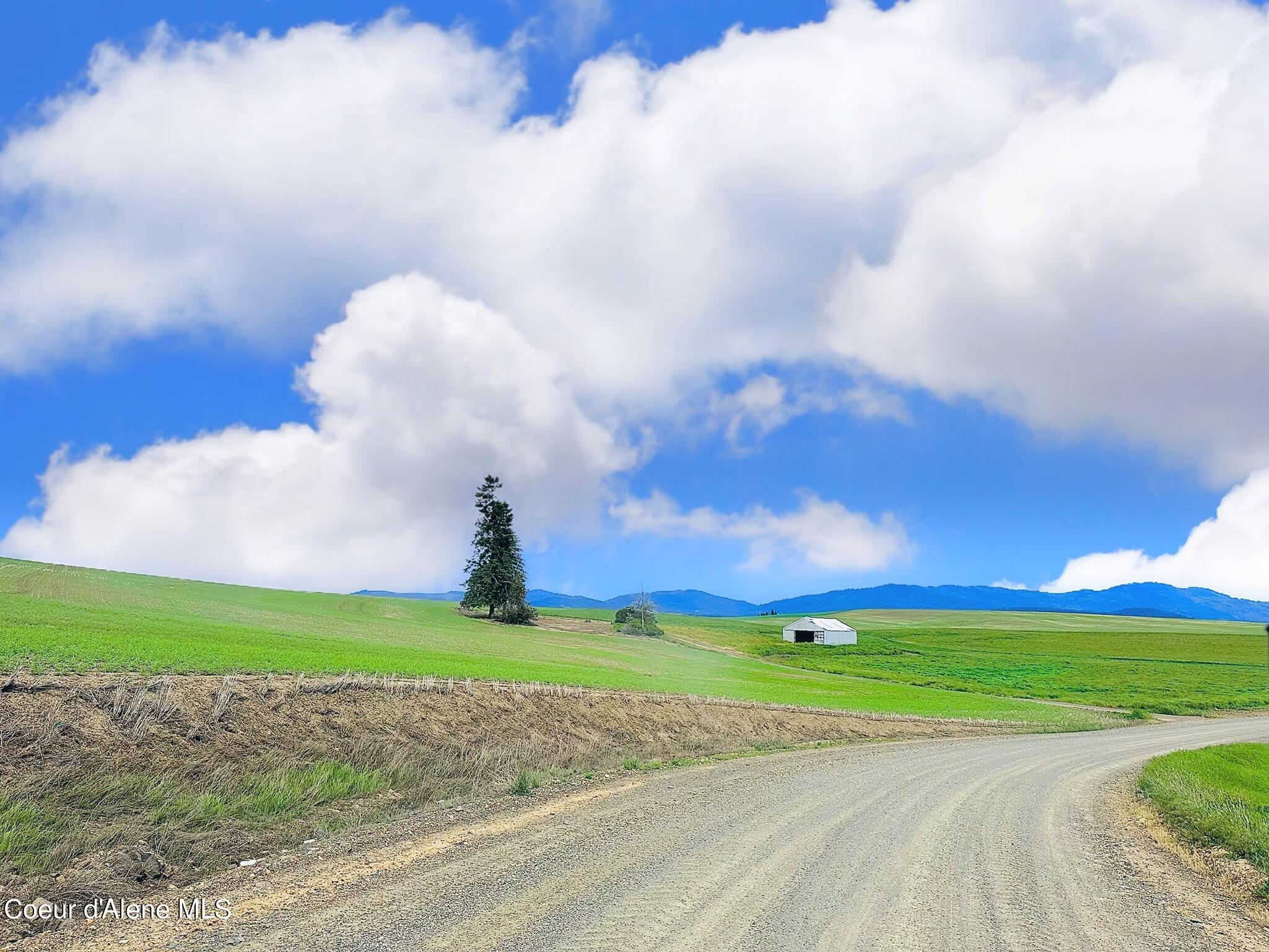 2915 Hangman Creek Road Tensed, ID 83870 - Photo 16 of 23 10acres w/ county road access