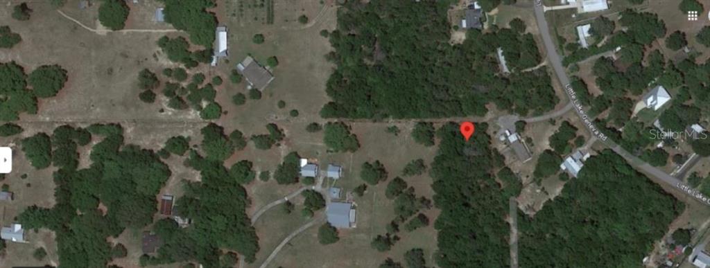 7058 Sewanee Street Keystone Heights, FL 32656 - Photo 3 of 6 a close up of a plant in a garden