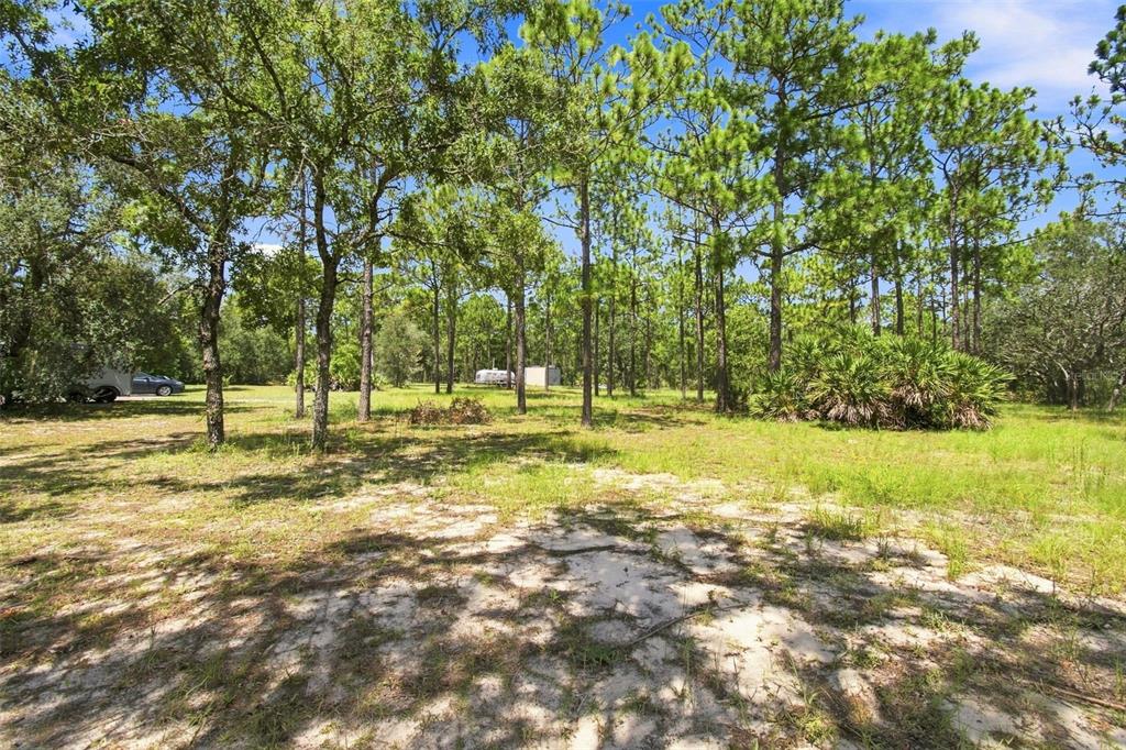 8279 Sunshine Grove Road Brooksville, FL 34613 - Photo 8 of 76 Gallery Image 8