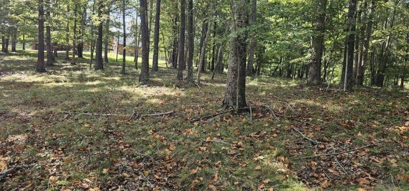 515 Wilderness Way Dunlap, TN 37327 - Photo 20 of 27 a view of outdoor space with trees