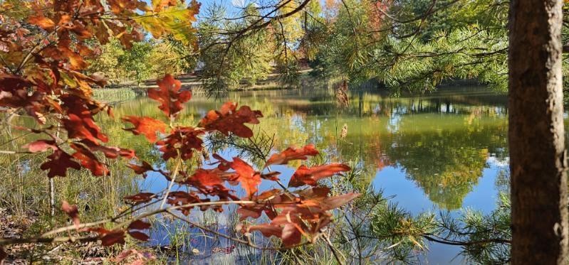 515 Wilderness Way Dunlap, TN 37327 - Photo 2 of 27 a backyard of a house with lots of green space