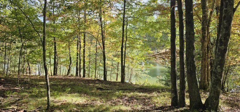515 Wilderness Way Dunlap, TN 37327 - Photo 23 of 27 a view of outdoor space and yard