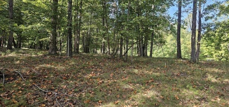 515 Wilderness Way Dunlap, TN 37327 - Photo 26 of 27 a big yard with lots of green space and deers