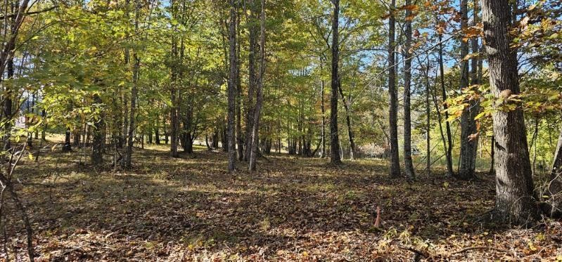515 Wilderness Way Dunlap, TN 37327 - Photo 4 of 27 a view of a forest with trees