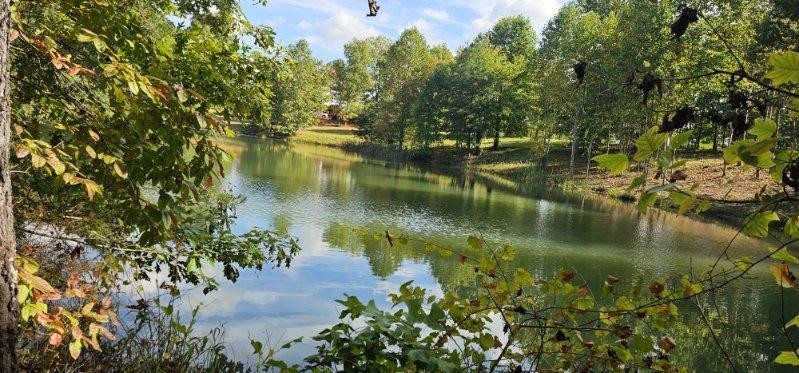 515 Wilderness Way Dunlap, TN 37327 - Photo 7 of 27 a view of a lake with a house