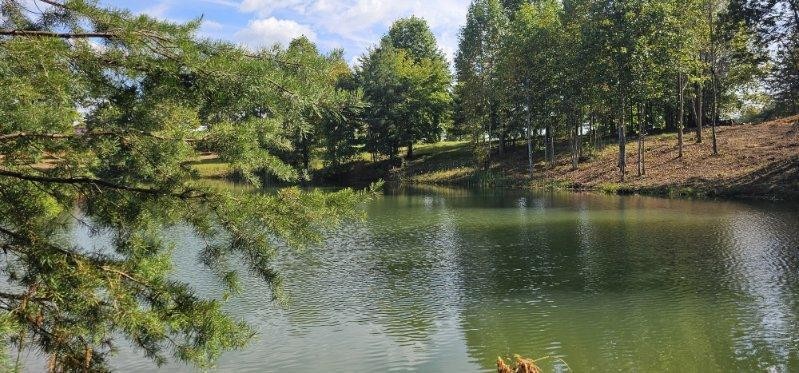 515 Wilderness Way Dunlap, TN 37327 - Photo 9 of 27 a view of lake