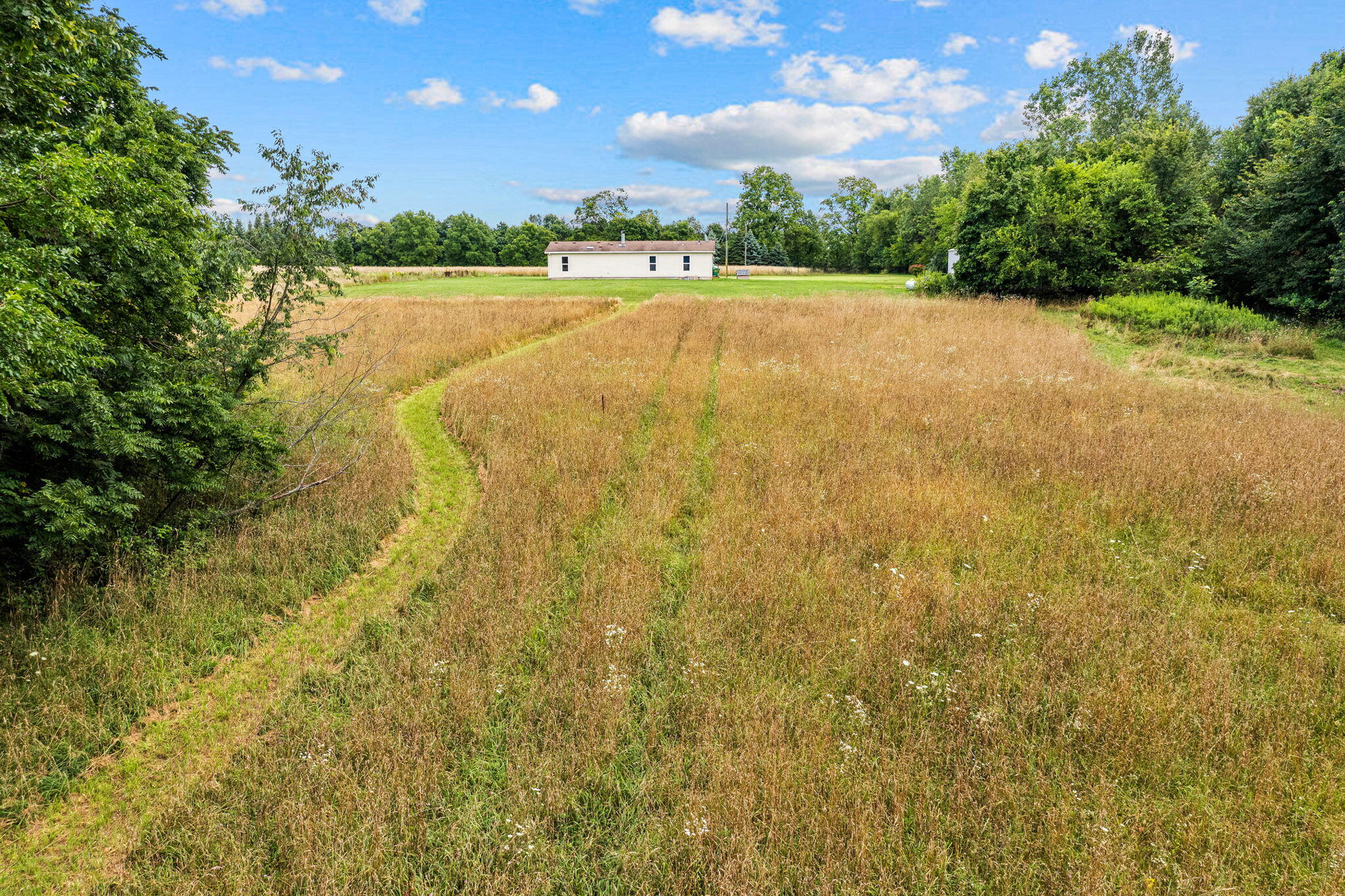 51370 Ball Road Dowagiac, MI 49047 - Photo 39 of 44 51370 Ball Rd (30 of 43)