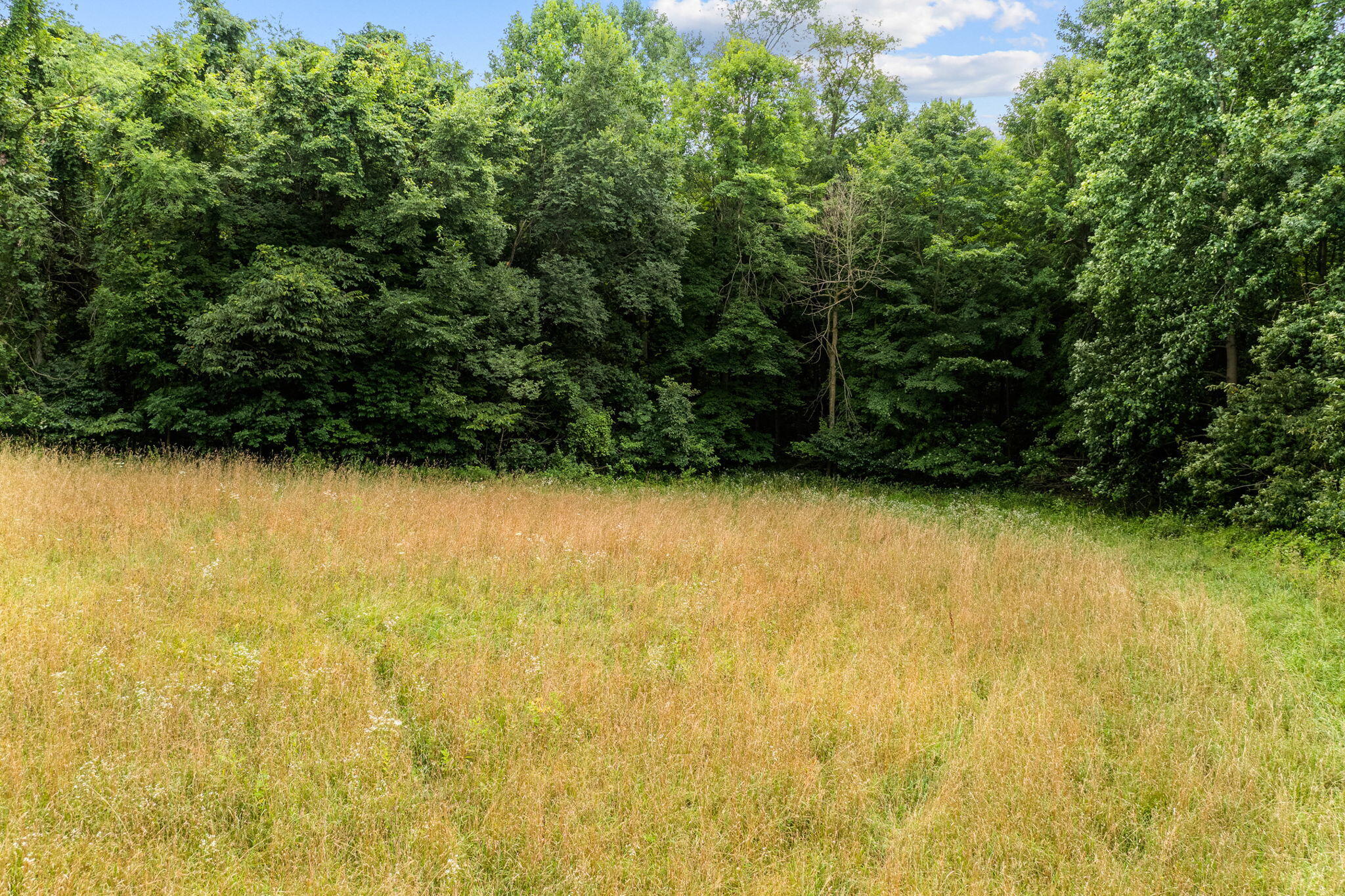 51370 Ball Road Dowagiac, MI 49047 - Photo 40 of 44 51370 Ball Rd (31 of 43)