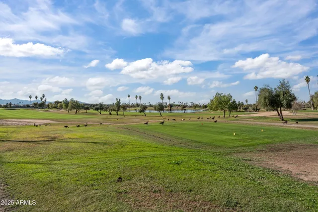 a view of a large body of water with lots of buildings in the background