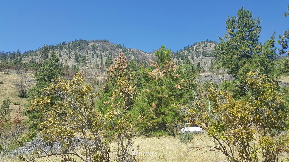 15333 South Lakeshore Road Chelan, WA 98816 - Photo 6 of 6 Gallery Image 6