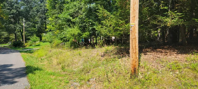 a view of a yard with plants