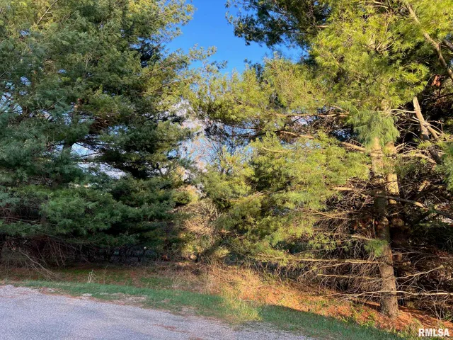 $11,900 | 544 Summit Court, Dahinda, IL 61428