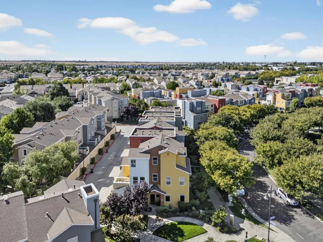 a park view with a bench and trees