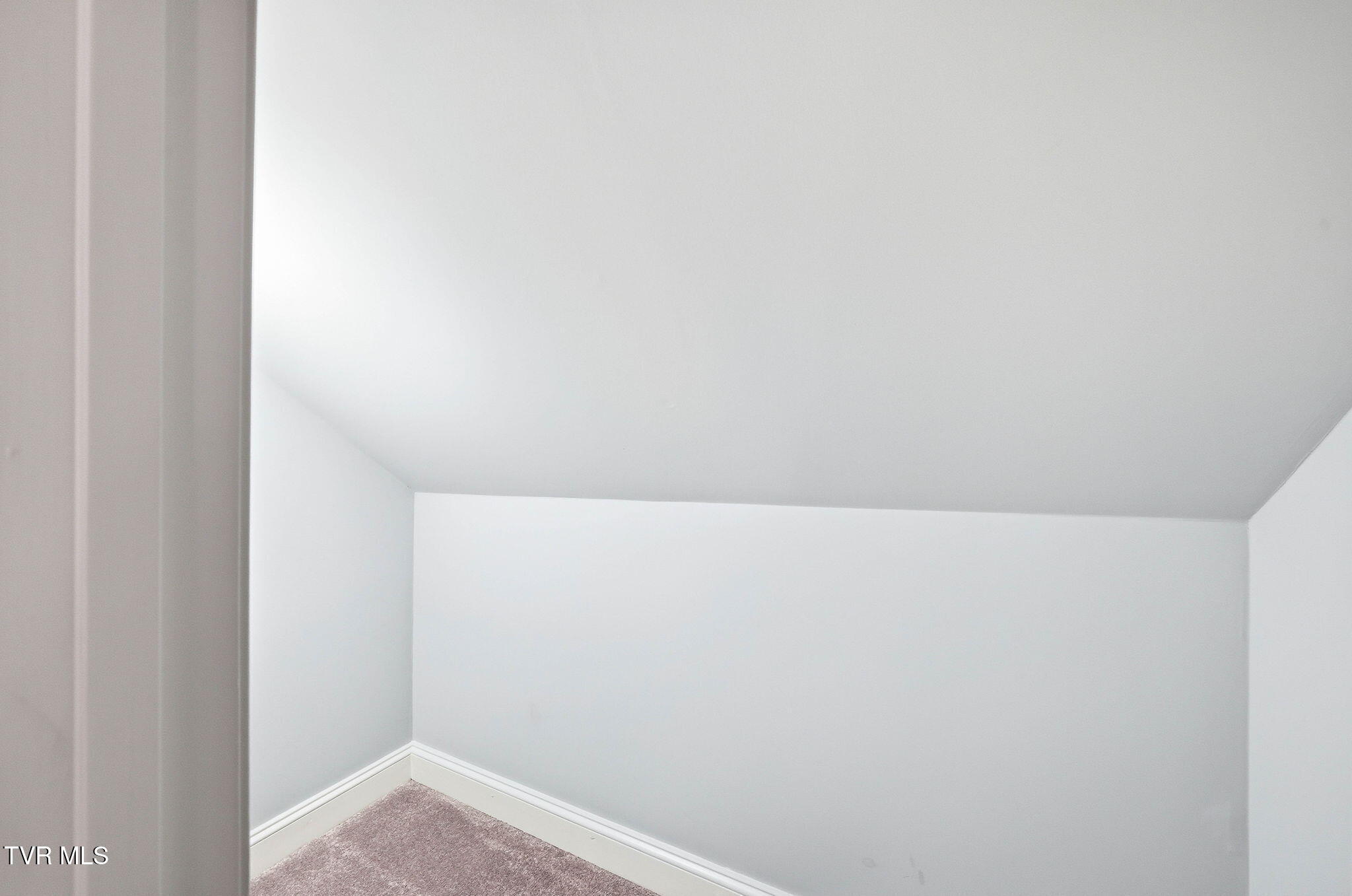 1812 Boones Creek Road Jonesborough, TN 37659 - Photo 42 of 90 42-web-or-mls-1812 Boones Creek Rd-46