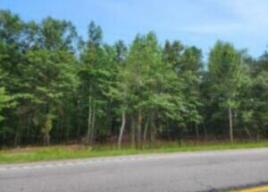 5 Tinker Creek Road Williston, SC 29853 - Photo 1 of 1