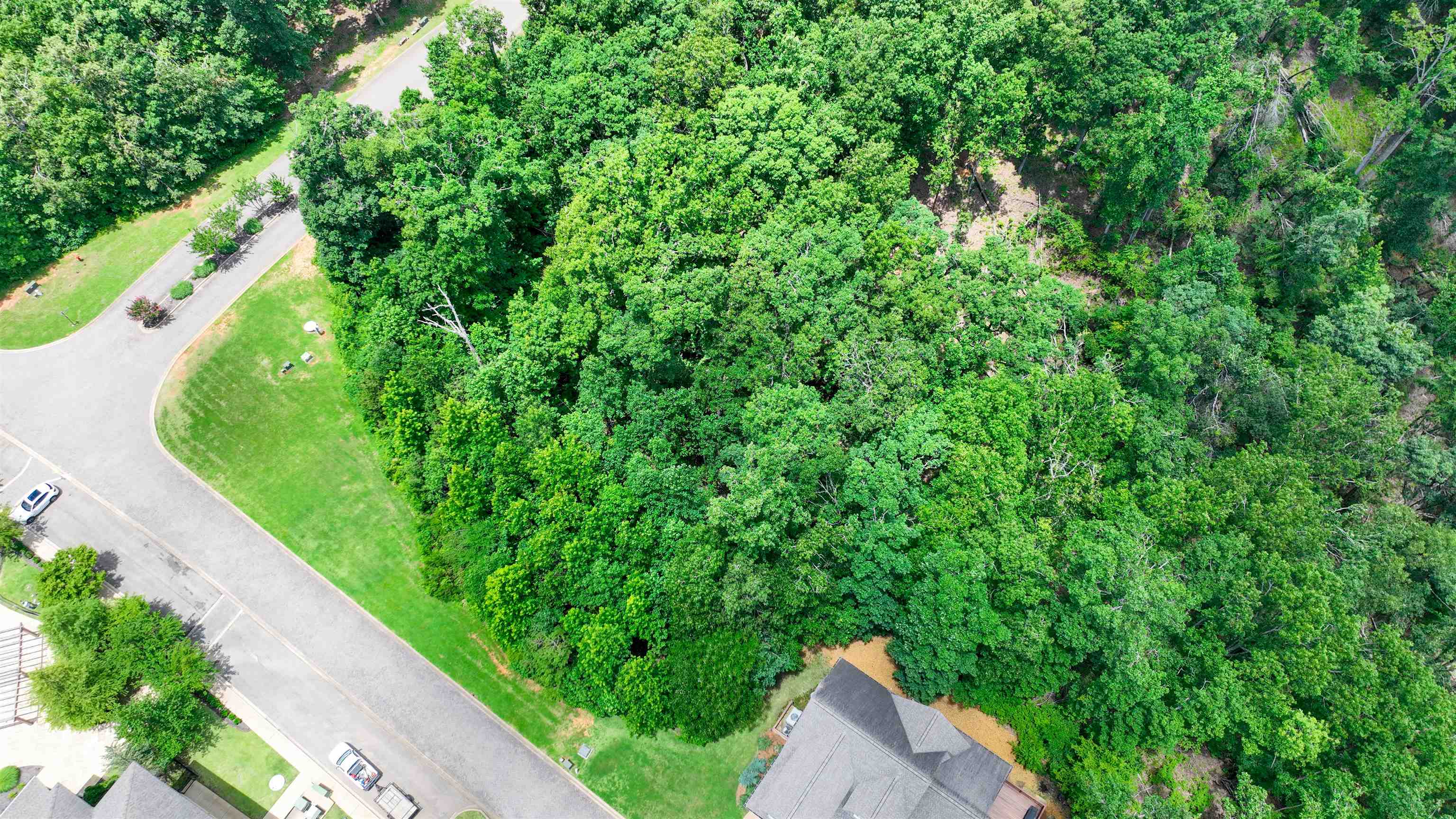 58 Breathtaking Loop Savannah, TN 38372 - Photo 6 of 36