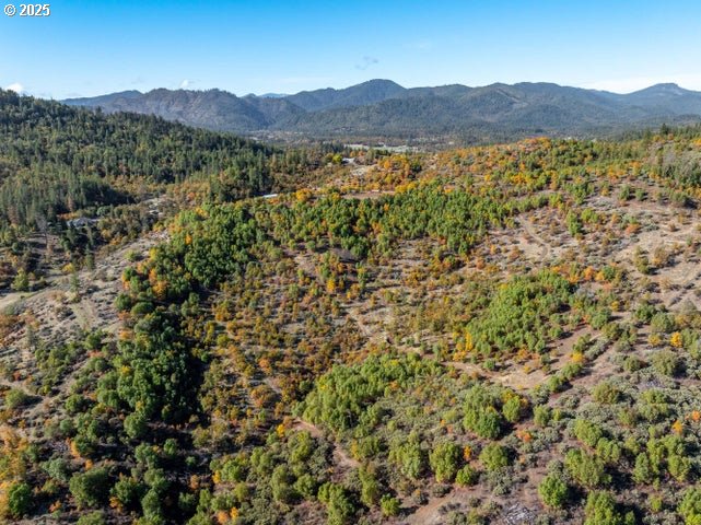 18922 Antioch Road White City, OR 97503 - Photo 4 of 19