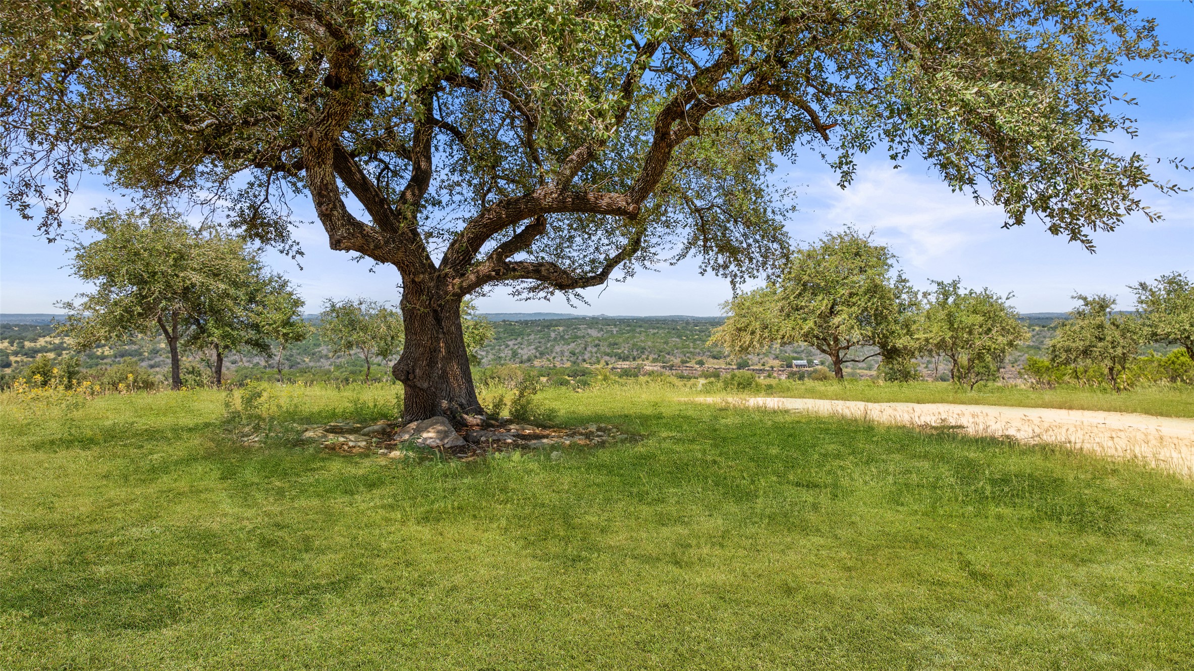 960 Gibson Road Johnson City, TX 78636 - Photo 16 of 19 A sprawling tree anchors this verdant landscape, offering panoramic views of the distant hills and open skies.