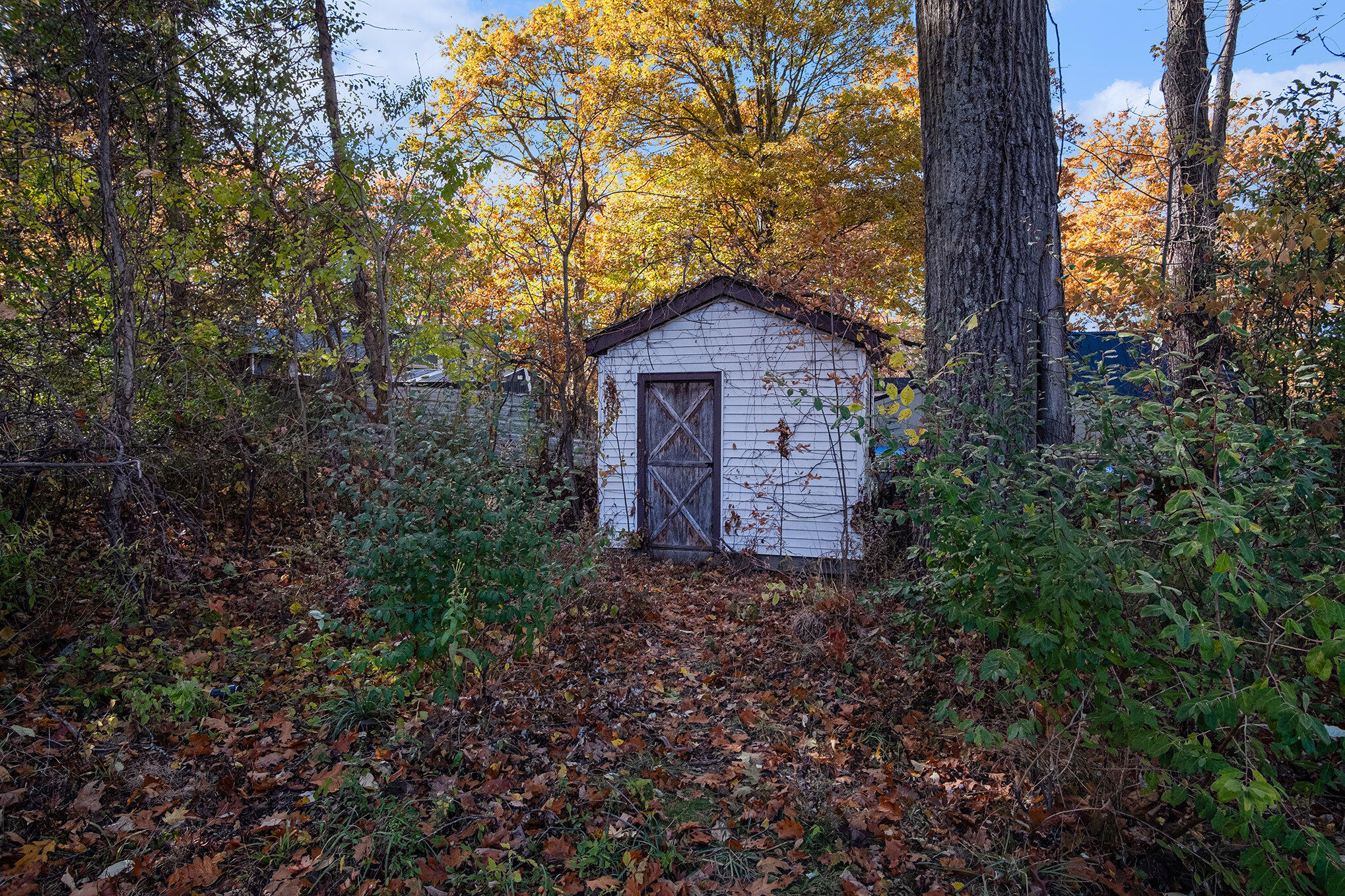 12340 Canter Drive Belding, MI 48809 - Photo 2 of 6 dscf4654_937