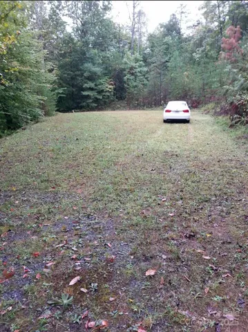 a view of a dry yard with green space