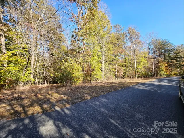 a view of a yard with a trees