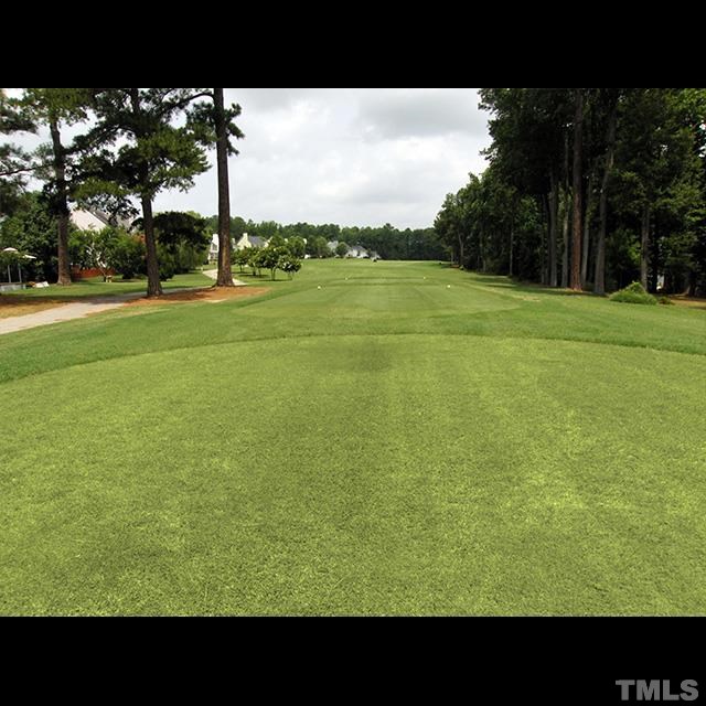 4517 Emmit Drive Raleigh, NC 27604 - Photo 23 of 25 a view of a field with an ocean view