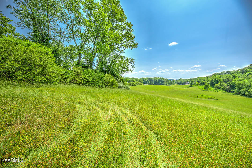 Alley Road, Unit 2 Andersonville, TN 37705 - Photo 5 of 20 C8DB80BB-0D07-4DDD-9E65-207C17CB1406