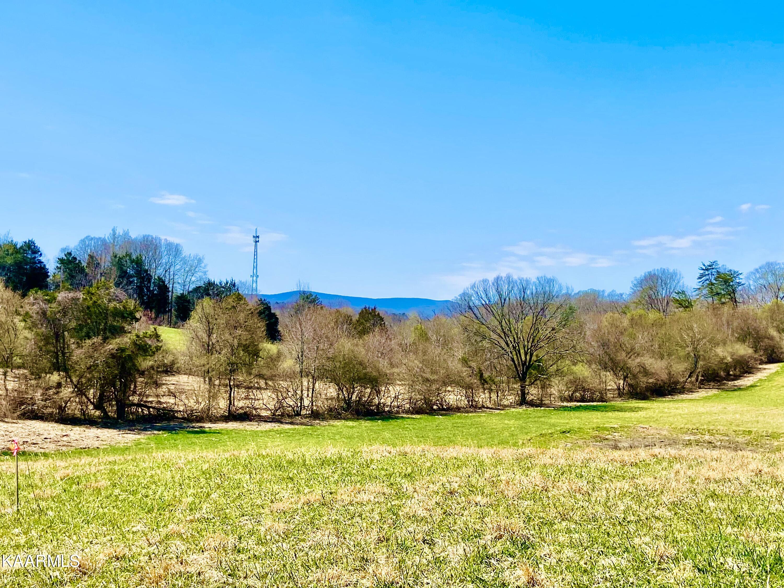 Alley Road, Unit 2 Andersonville, TN 37705 - Photo 8 of 20 3AAEE582-F4BF-411F-B778-CC29B499EA8A