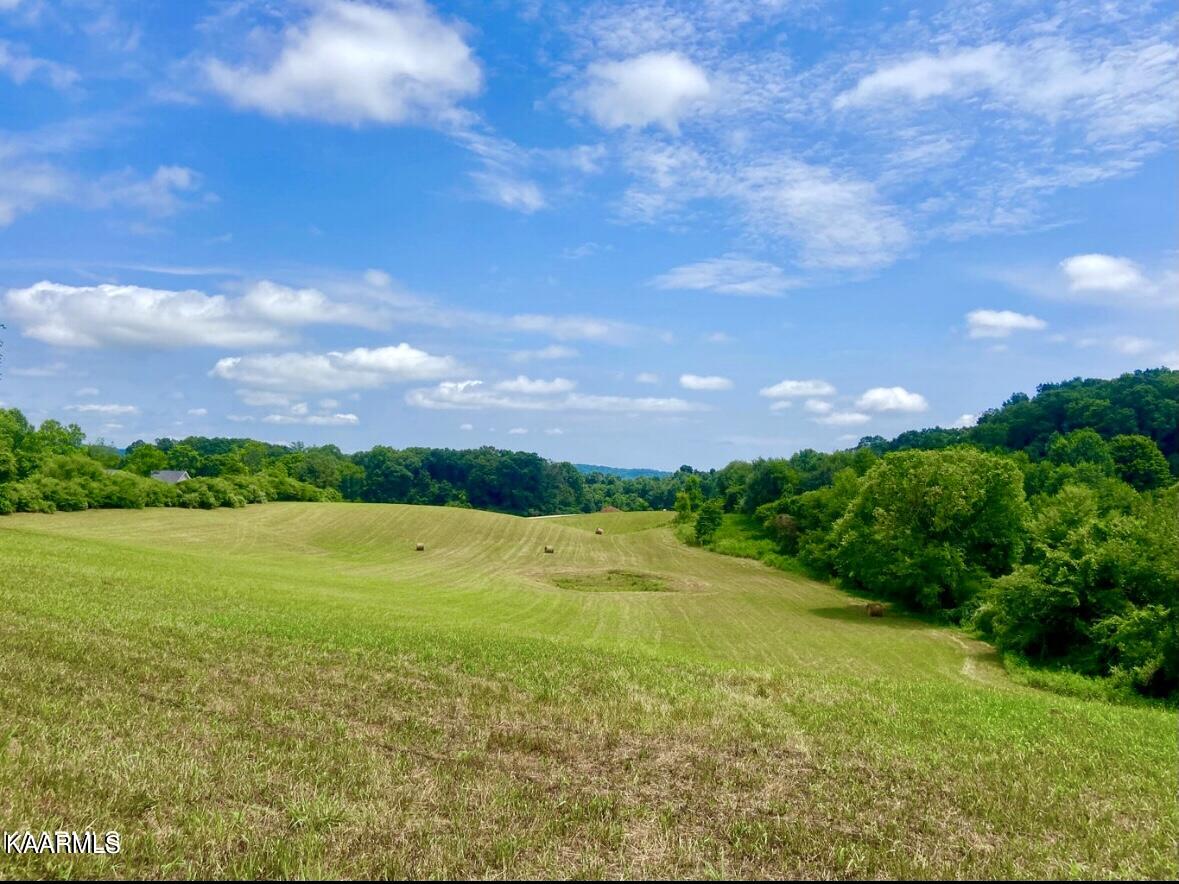 Alley Road, Unit 2 Andersonville, TN 37705 - Photo 9 of 20 4EEEFAC4-3488-4AA0-AE51-5393ECCB80A5