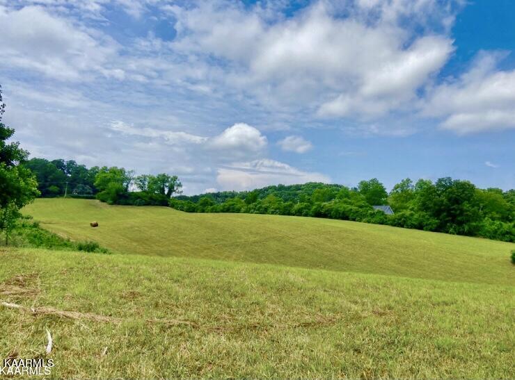 Alley Road, Unit 2 Andersonville, TN 37705 - Photo 10 of 20 E92D895E-748C-4FED-9247-C8440C41C46B