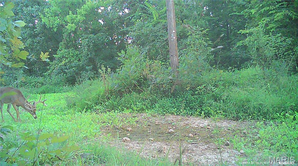 10331 Hopkins Road Potosi, MO 63664 - Photo 56 of 76