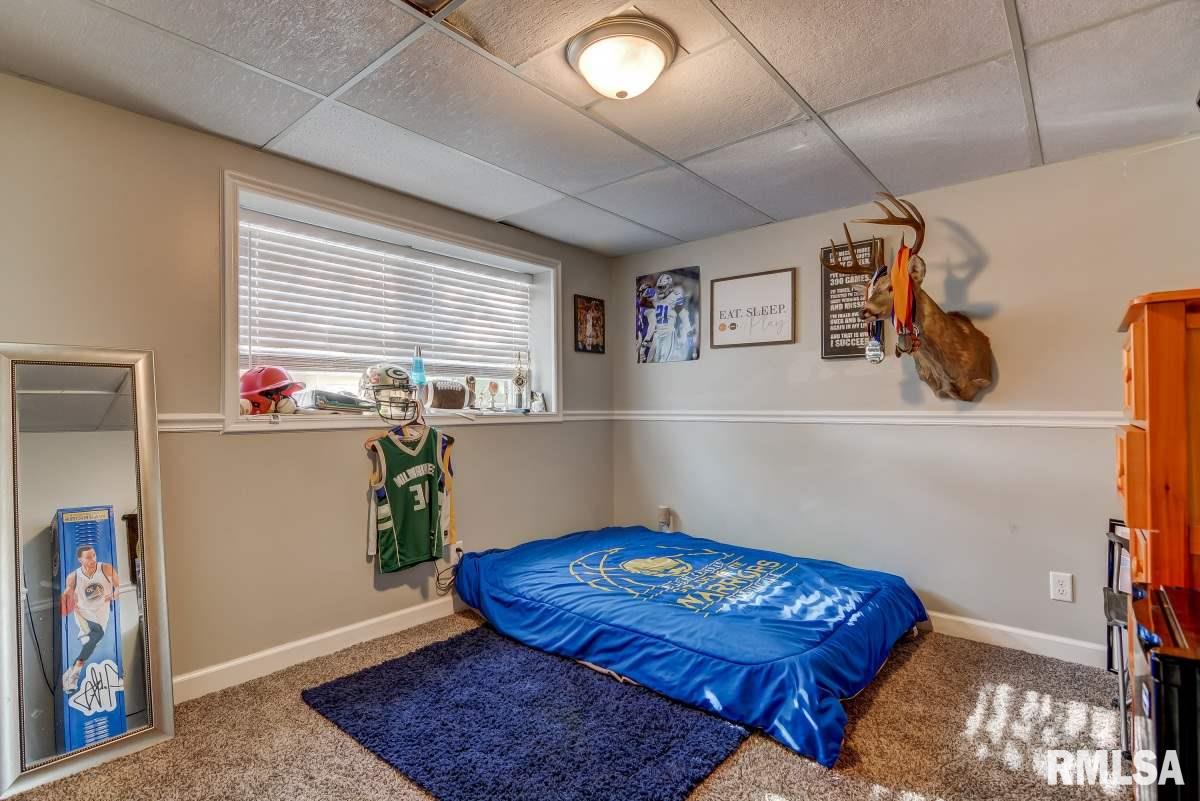 3913 Jonquil Lane Springfield, IL 62707 - Photo 28 of 35