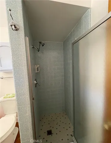 a bathroom with a shower and a toilet