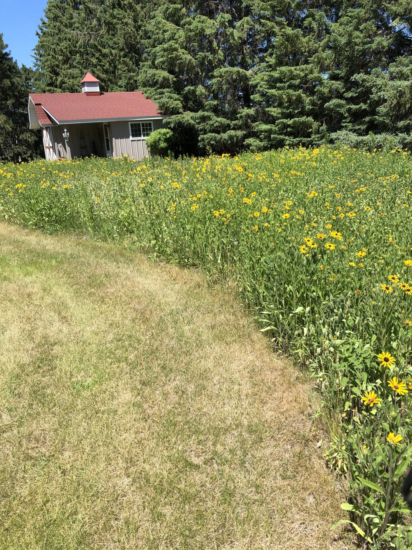 22603 Fable Road St. Augusta, MN 56301 - Photo 50 of 57