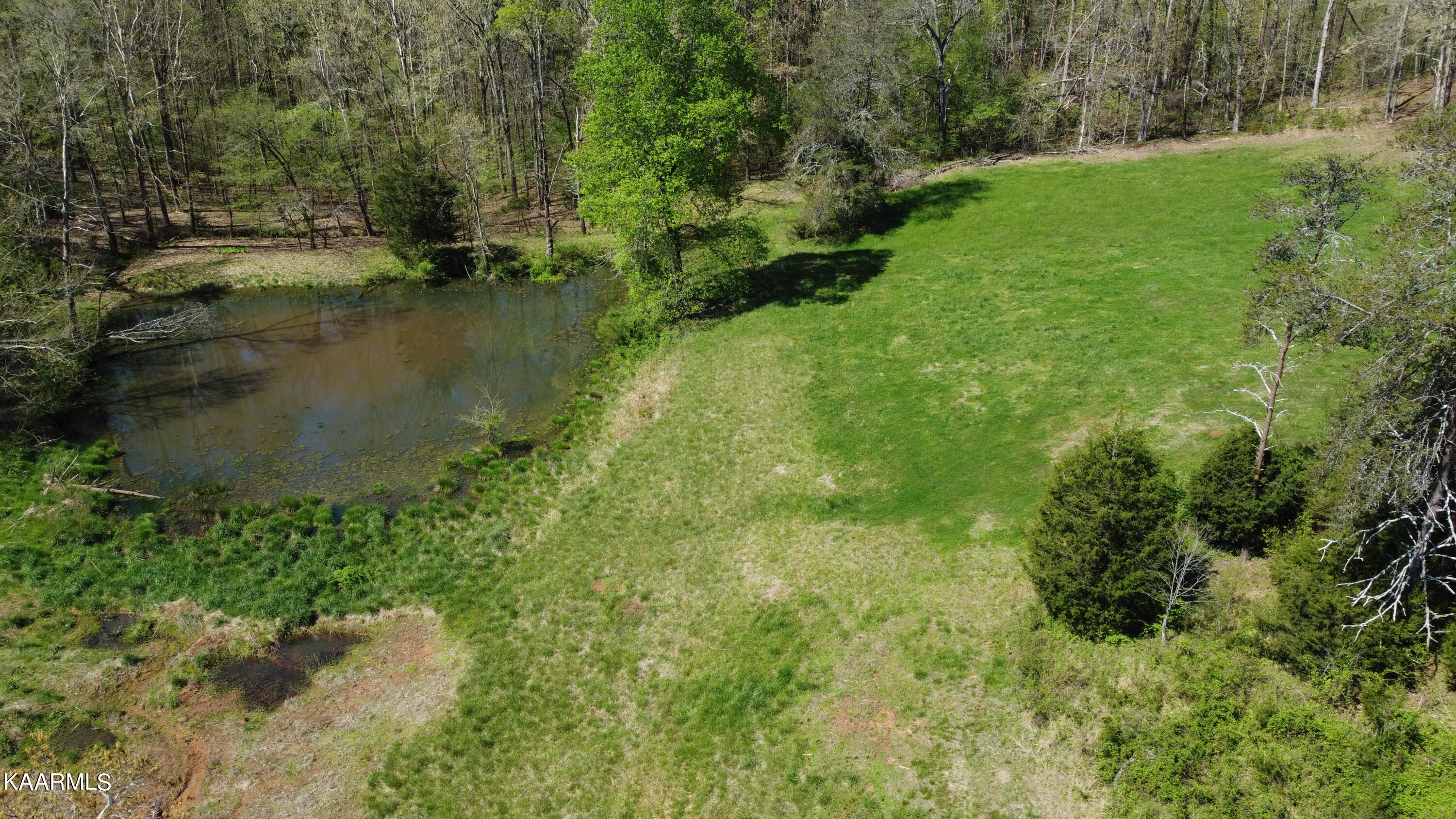 Marble Hill Road Friendsville, TN 37737 - Photo 11 of 35 DJI_0373