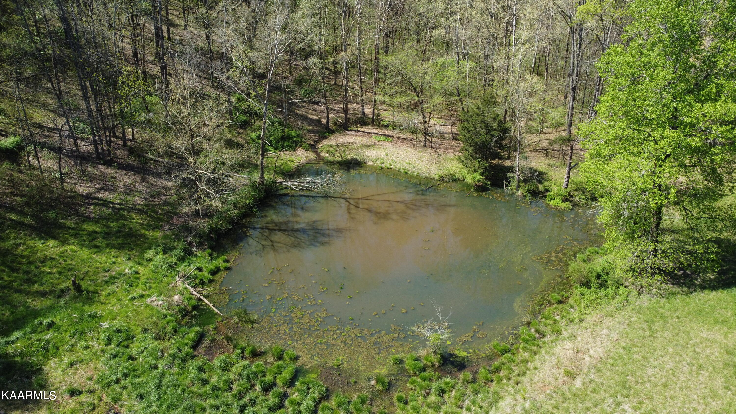 Marble Hill Road Friendsville, TN 37737 - Photo 12 of 35 DJI_0376