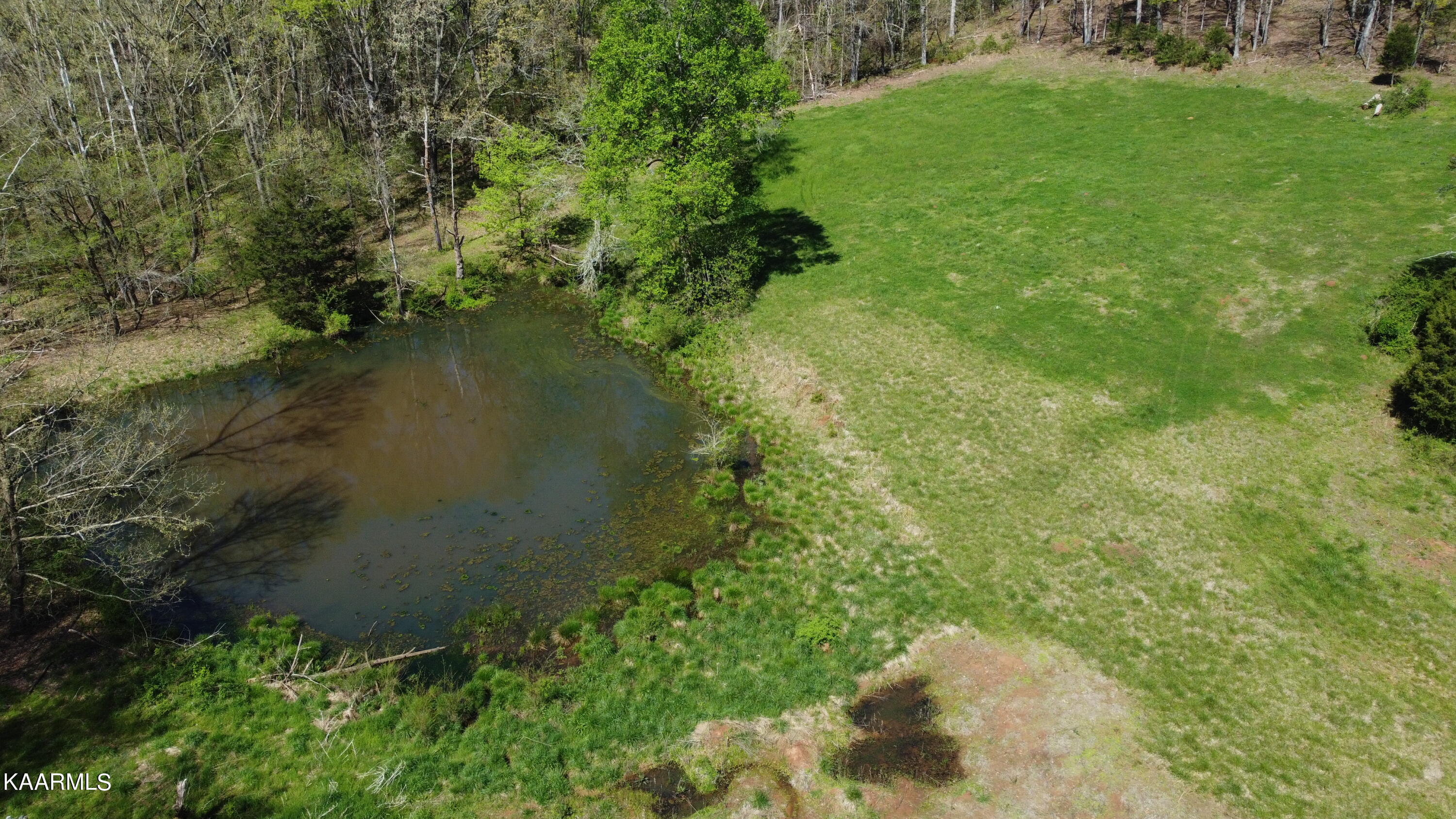 Marble Hill Road Friendsville, TN 37737 - Photo 13 of 35 DJI_0382
