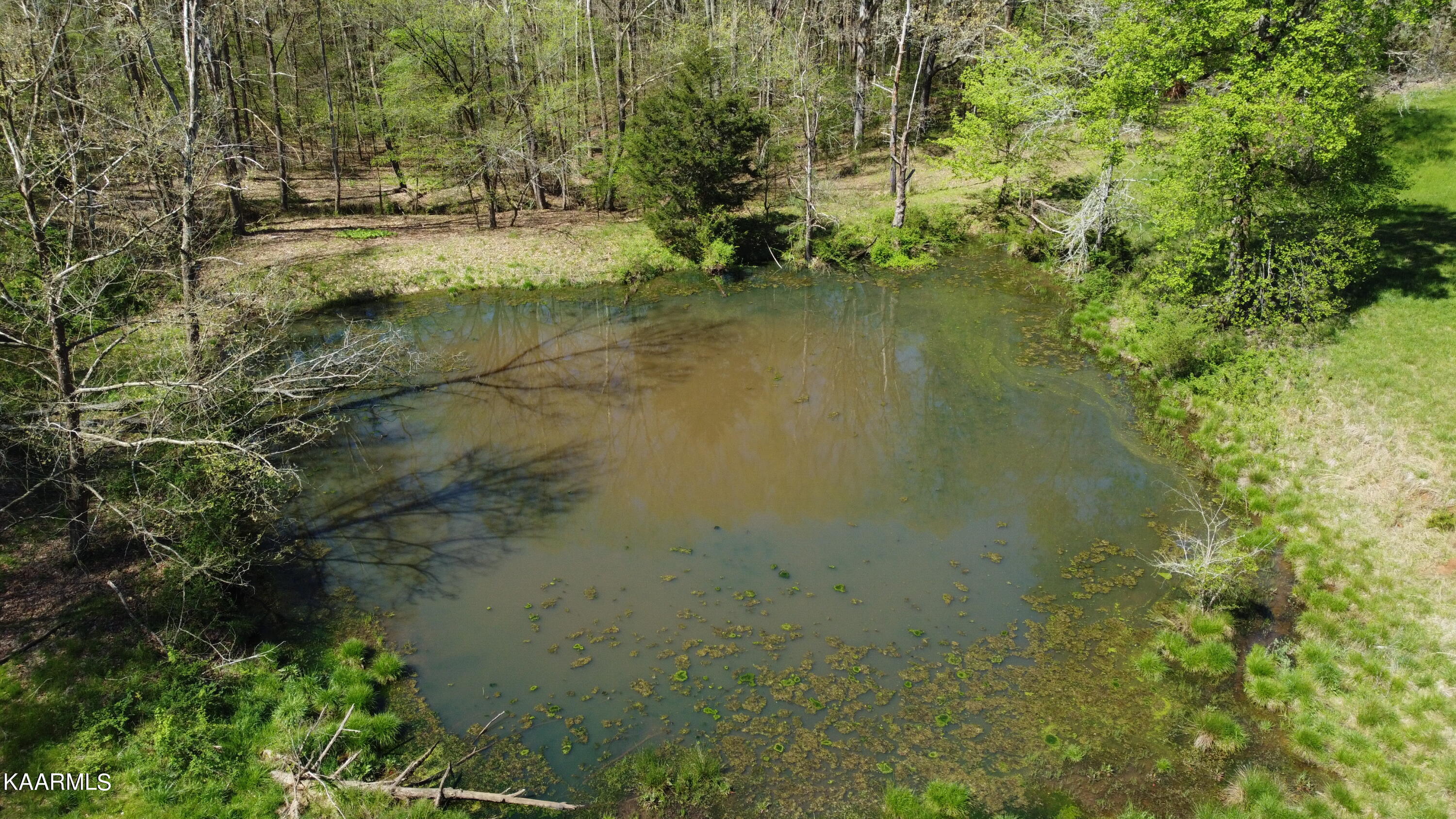 Marble Hill Road Friendsville, TN 37737 - Photo 14 of 35 DJI_0397