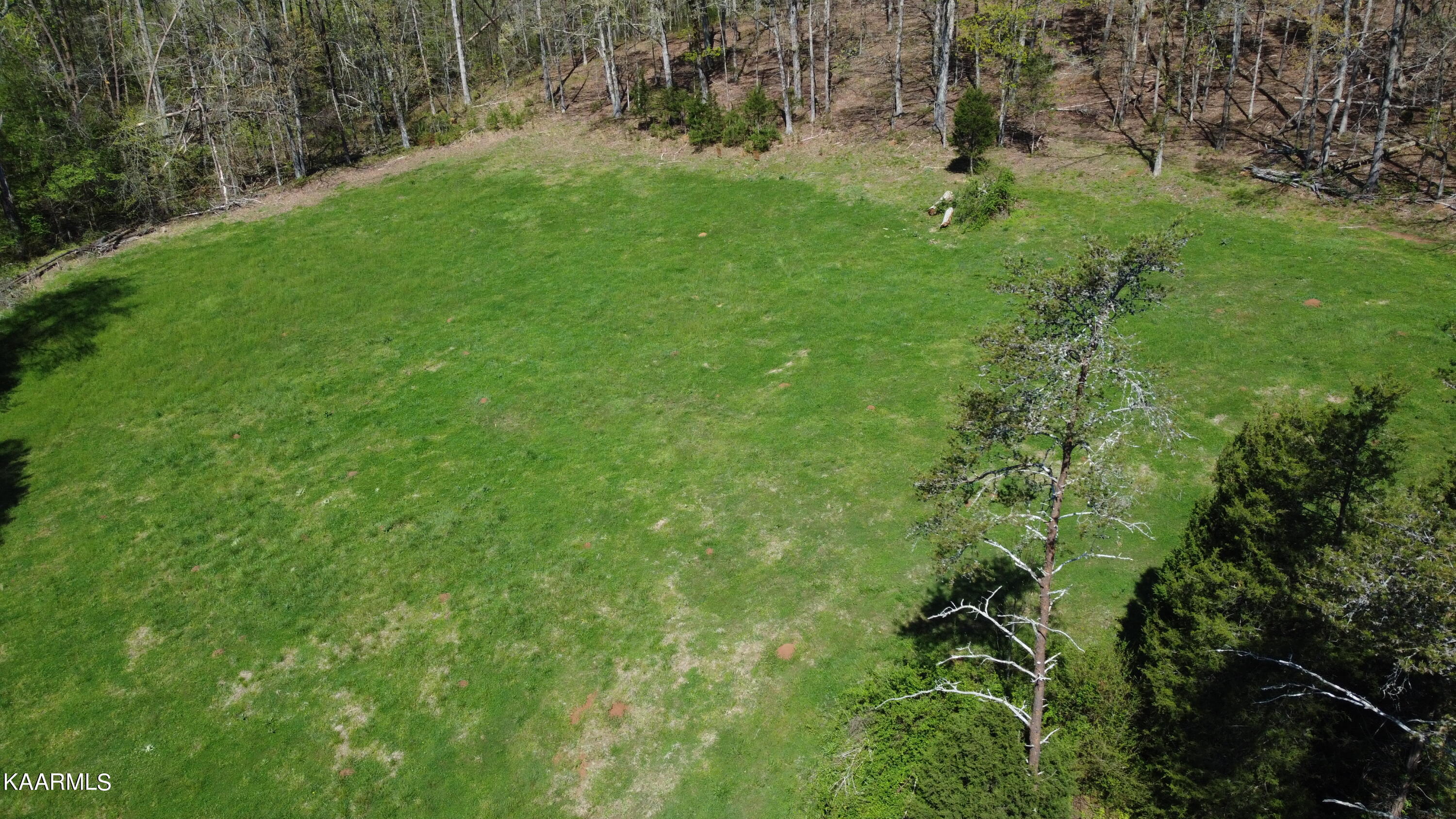 Marble Hill Road Friendsville, TN 37737 - Photo 22 of 35 DJI_0379