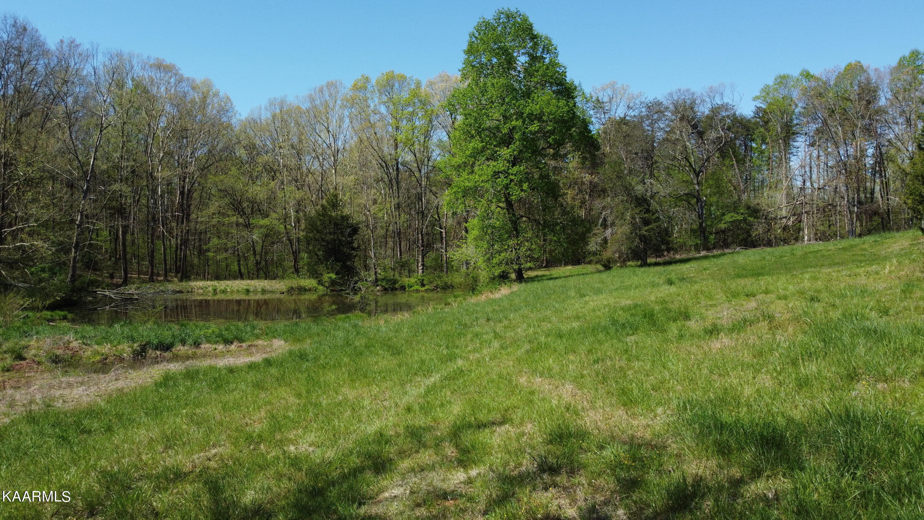 Marble Hill Road Friendsville, TN 37737 - Photo 26 of 35 DJI_0403