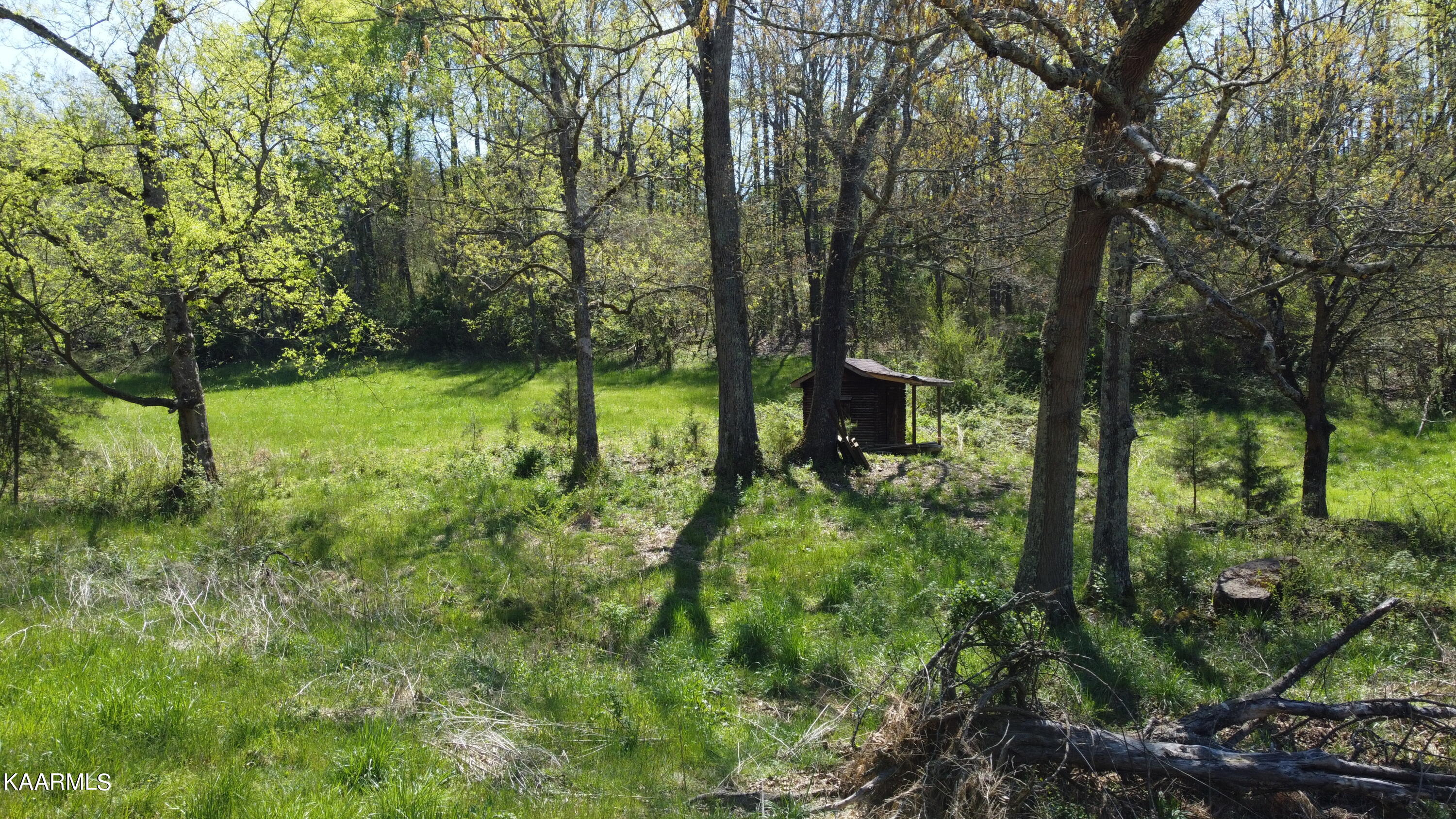 Marble Hill Road Friendsville, TN 37737 - Photo 27 of 35 DJI_0406