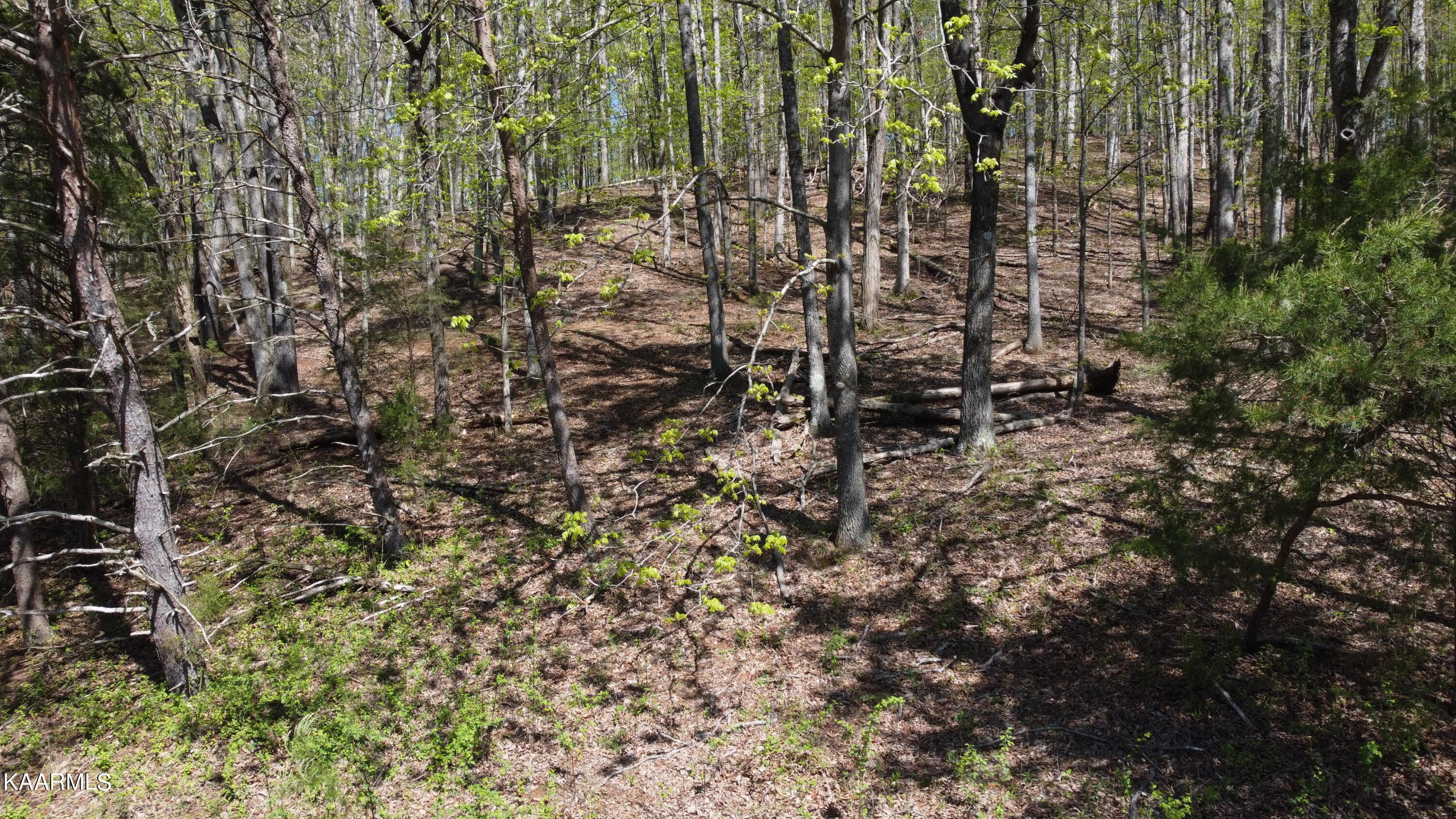 Marble Hill Road Friendsville, TN 37737 - Photo 30 of 35 DJI_0415