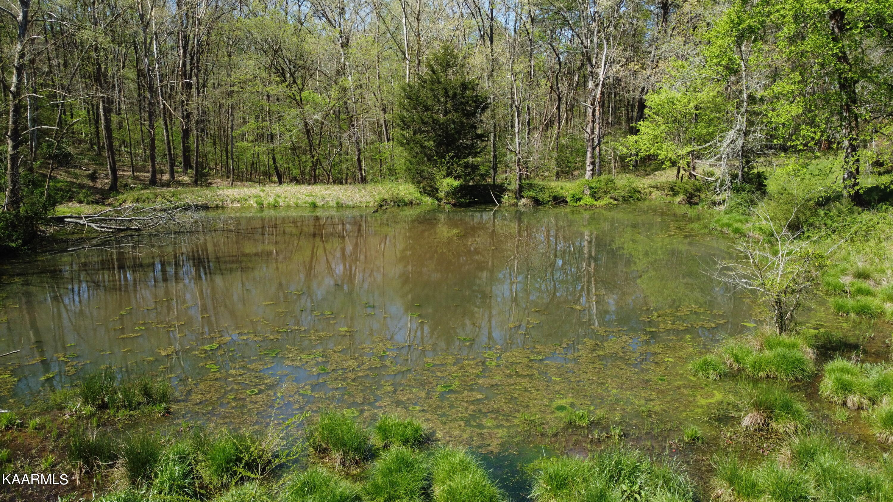 Marble Hill Road Friendsville, TN 37737 - Photo 9 of 35 DJI_0400