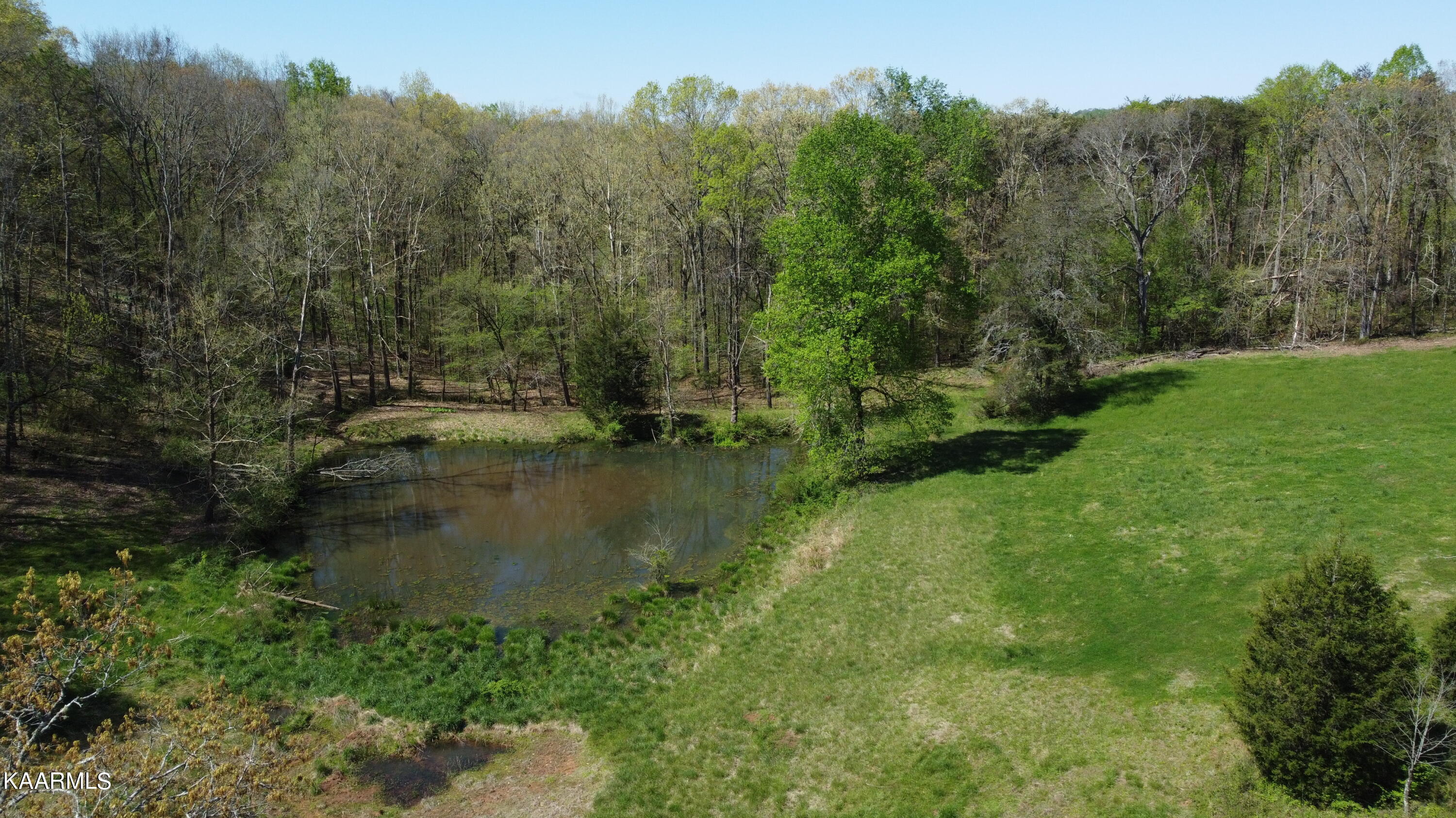 Marble Hill Road Friendsville, TN 37737 - Photo 10 of 35 DJI_0370