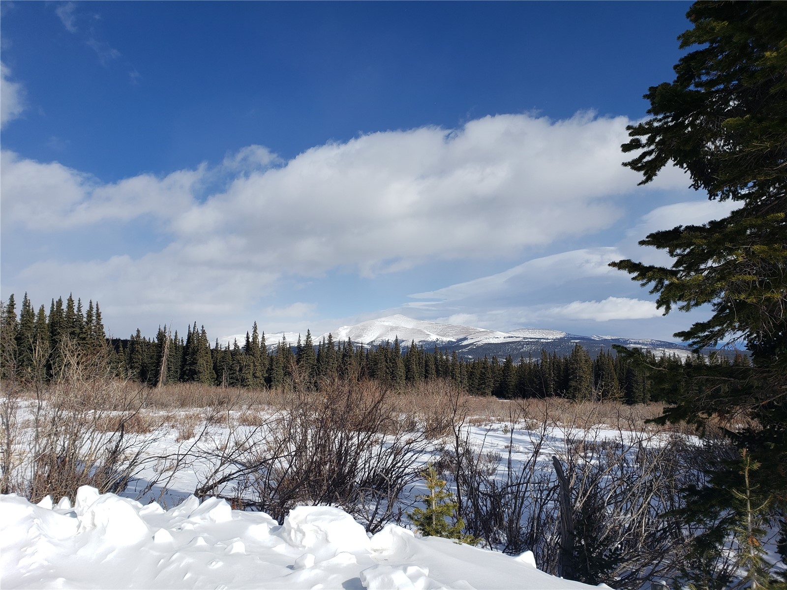 585 Porcupine Road Fairplay, CO 80440 - Photo 8 of 12