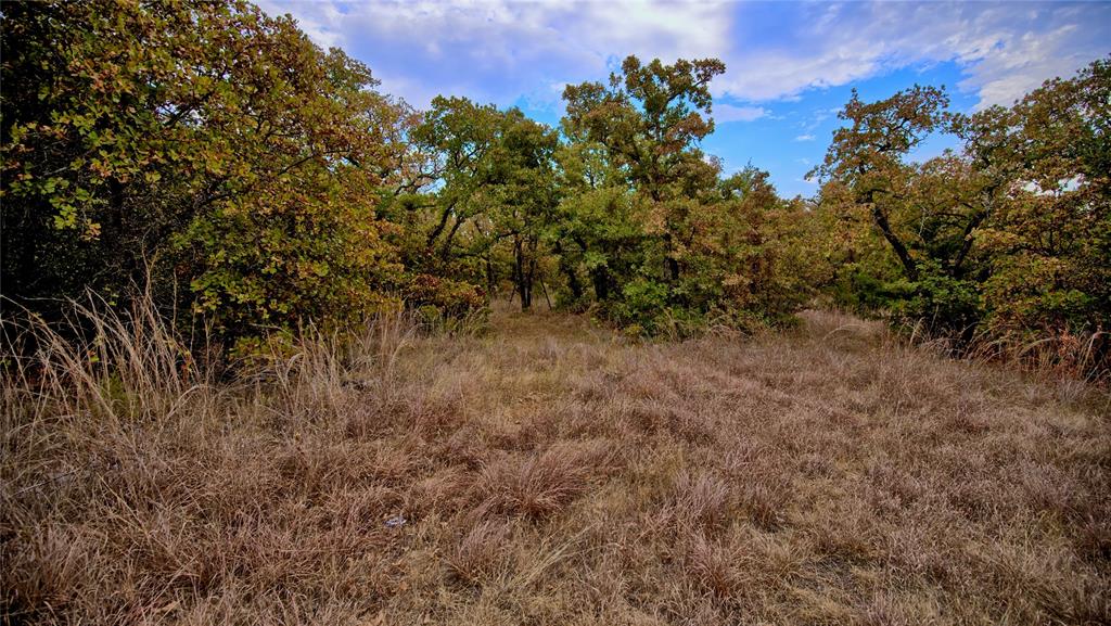 Tbd Dixie School Road Nocona, TX 76255 - Photo 10 of 38 Gallery Image 10