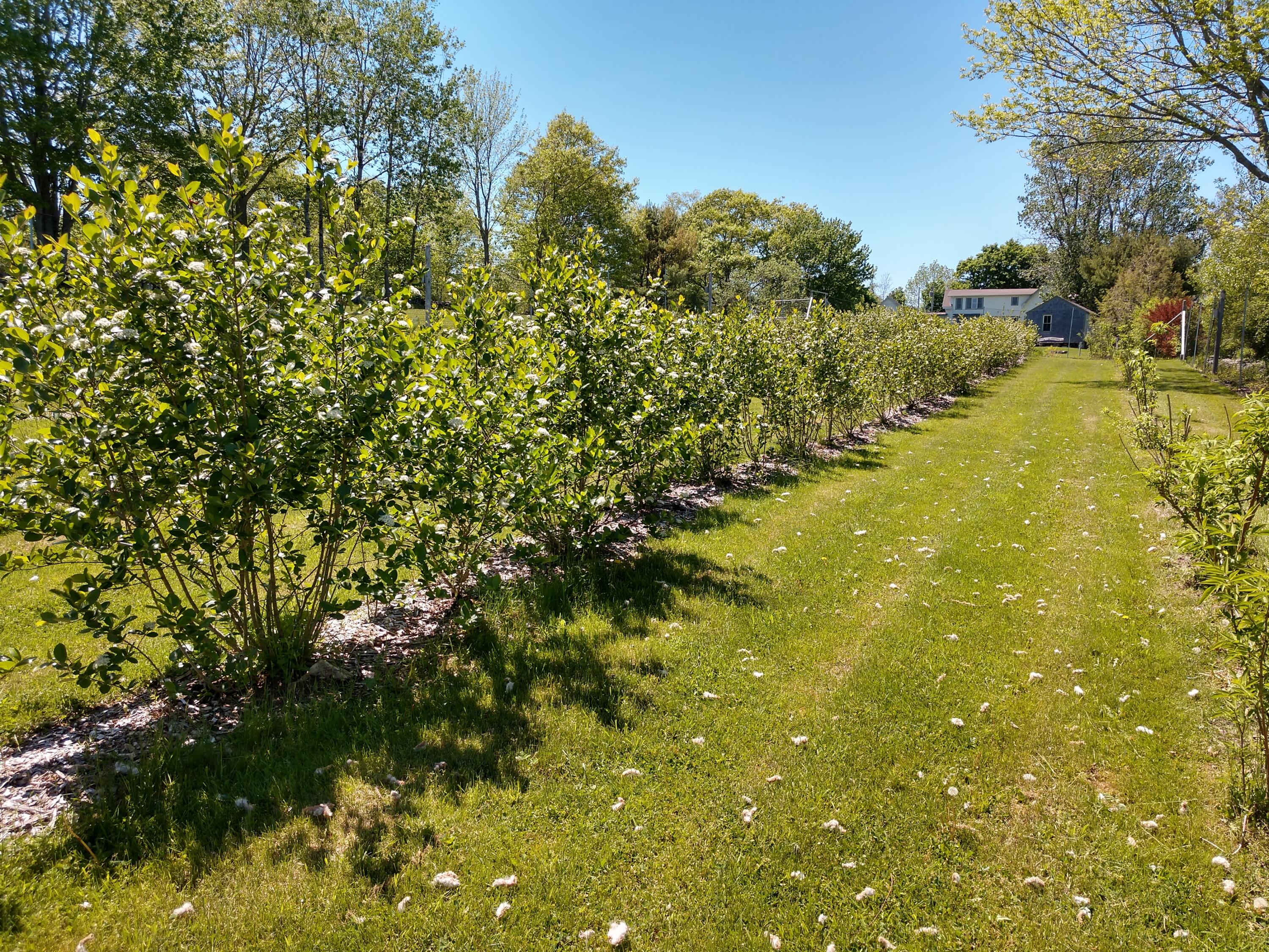 902 Dutch Neck Road Waldoboro, ME 04572 - Photo 71 of 107 902 Dutch Neck - Photo 11