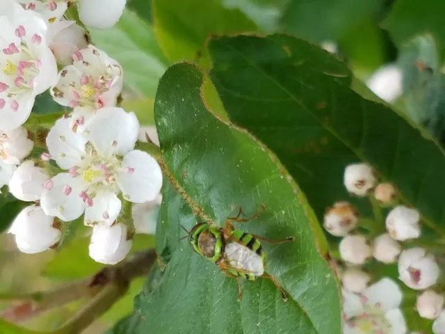 $1,200,000 | 902 Dutch Neck Road, Waldoboro, ME 04572