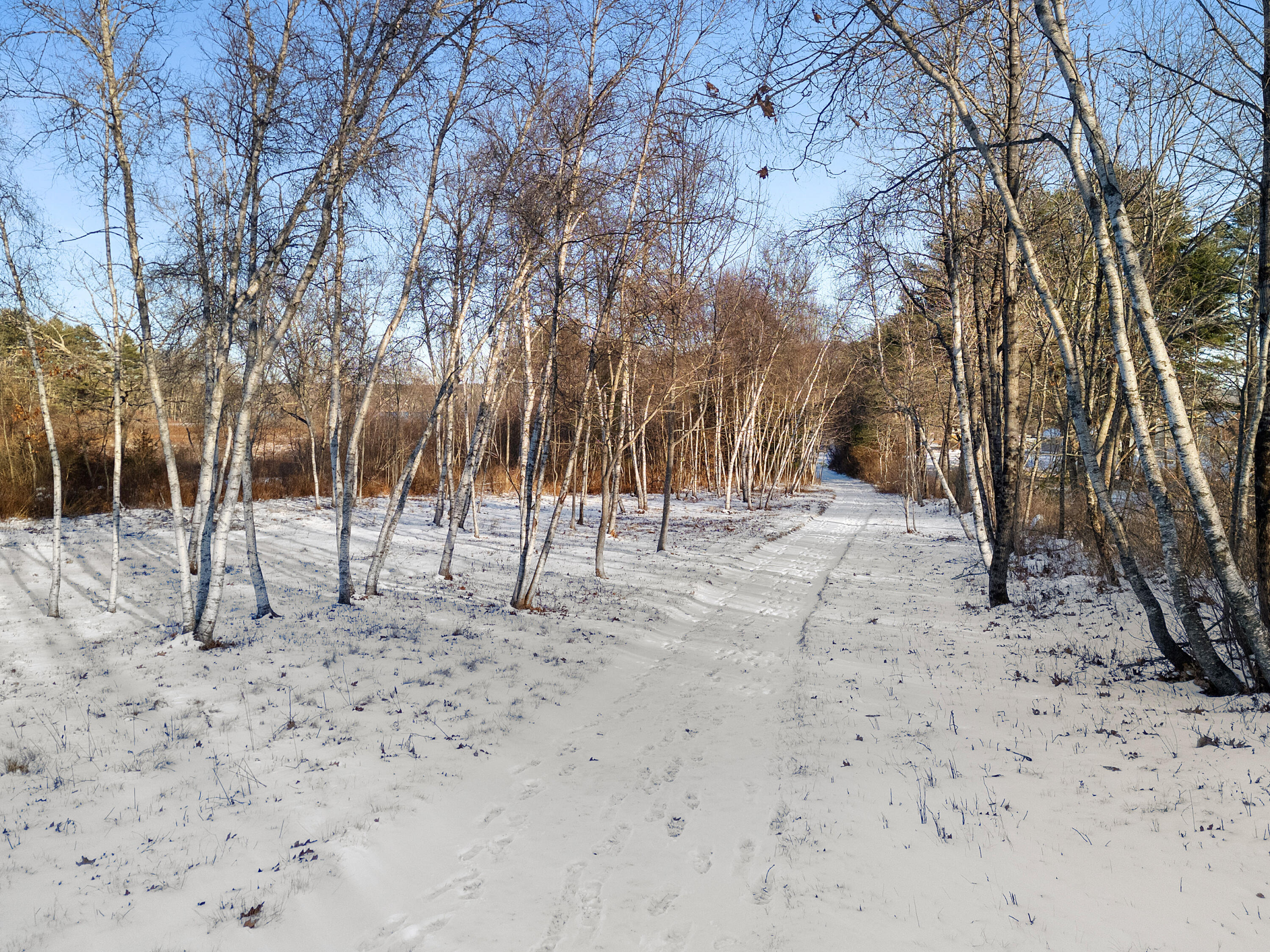 902 Dutch Neck Road Waldoboro, ME 04572 - Photo 76 of 107 DJI_20251209140603_0488_D